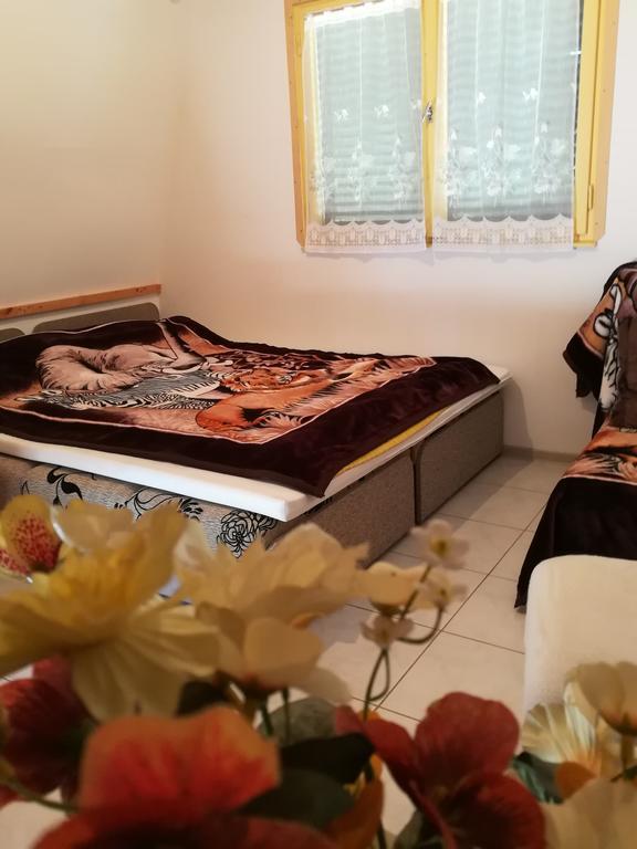Tiszavirag Nyaralohaz Villa Segedin Dış mekan fotoğraf