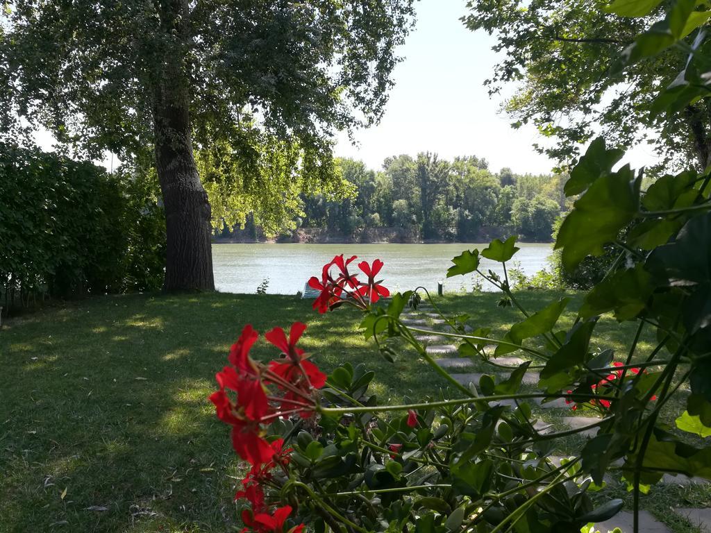 Tiszavirag Nyaralohaz Villa Segedin Dış mekan fotoğraf
